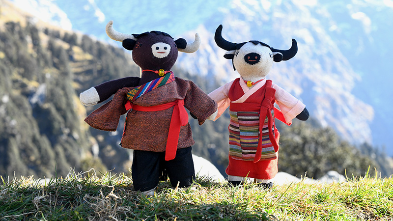 Mythical & Dressed Animals